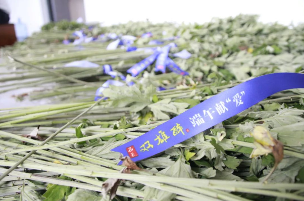 贈(zèng)你一束“艾”，端午祈安康，雙雄醉端午獻(xiàn)“愛(ài)”